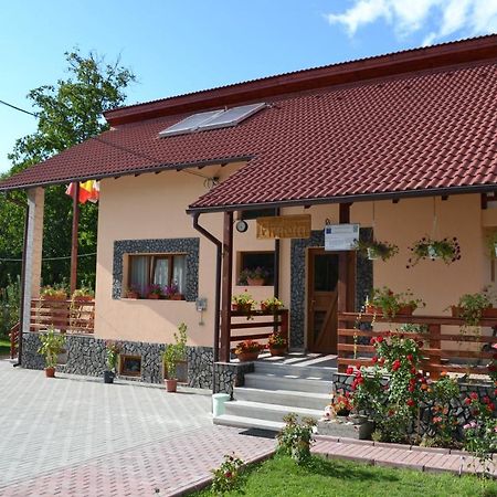 Вилла Arnota Costesti  Экстерьер фото