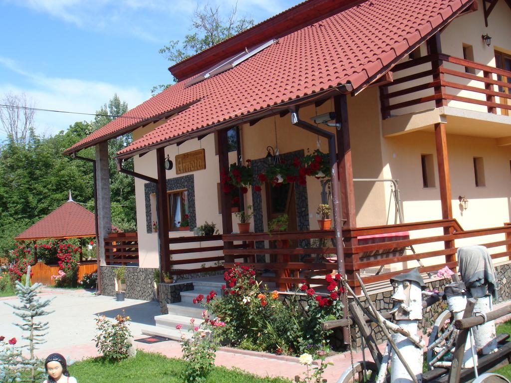 Вилла Arnota Costesti  Экстерьер фото